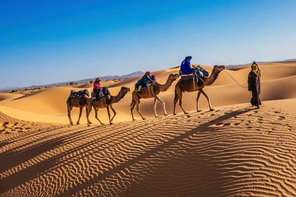 Camel trek through the Sahara Desert